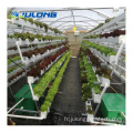 Agriculture DWC Vertical PVC Systèmes de croissance hydroponiques